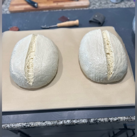 225+ yo starter from Paris, France - Picture 8 of 9